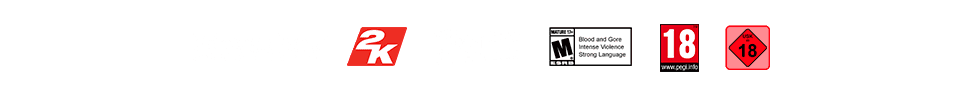 Footer logos